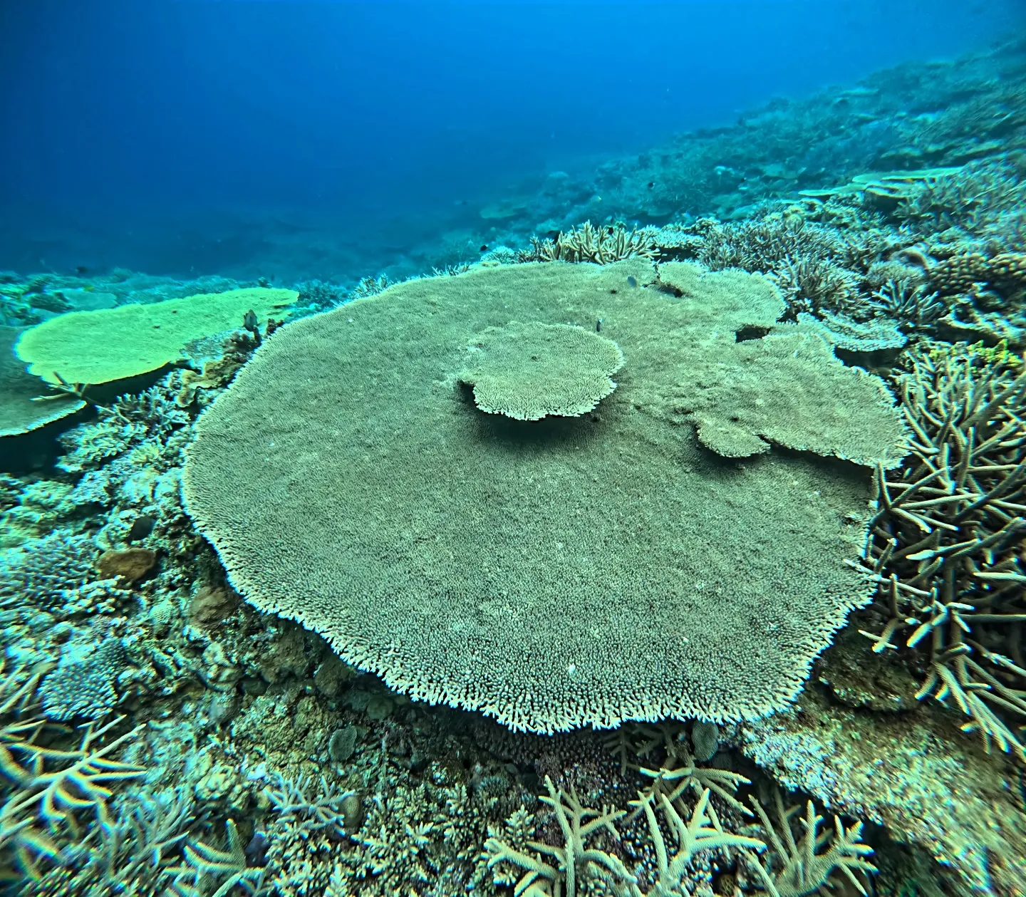 今日は渡嘉敷島でお仕事でした✨
