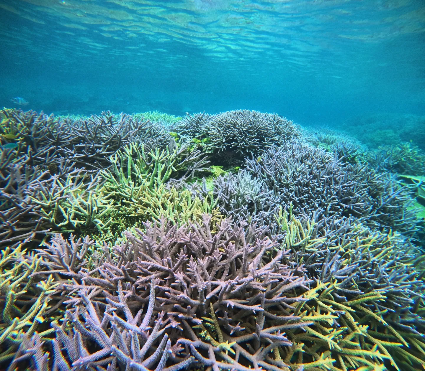 今日は渡嘉敷島でお仕事でした✨