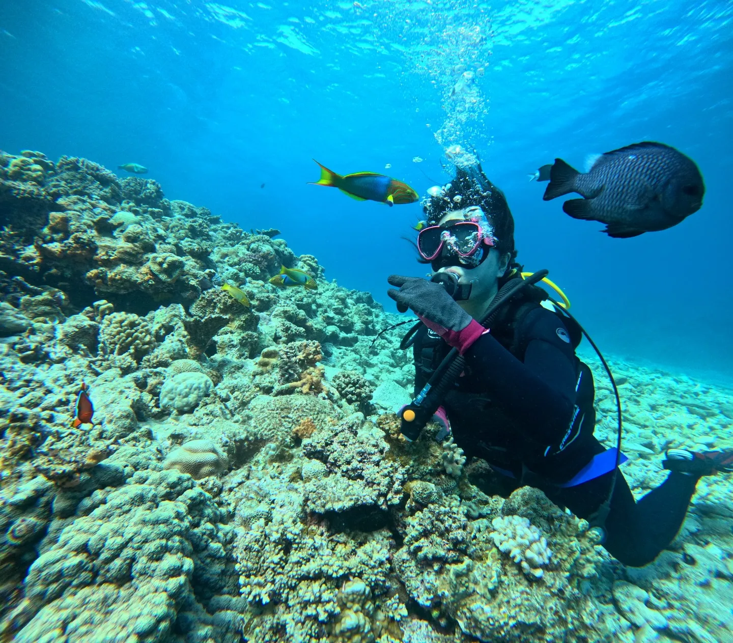 水納島ダイビング