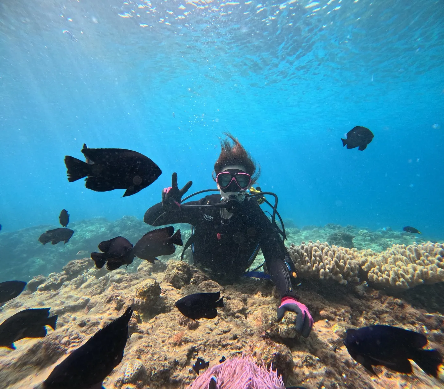 本部ダイビング