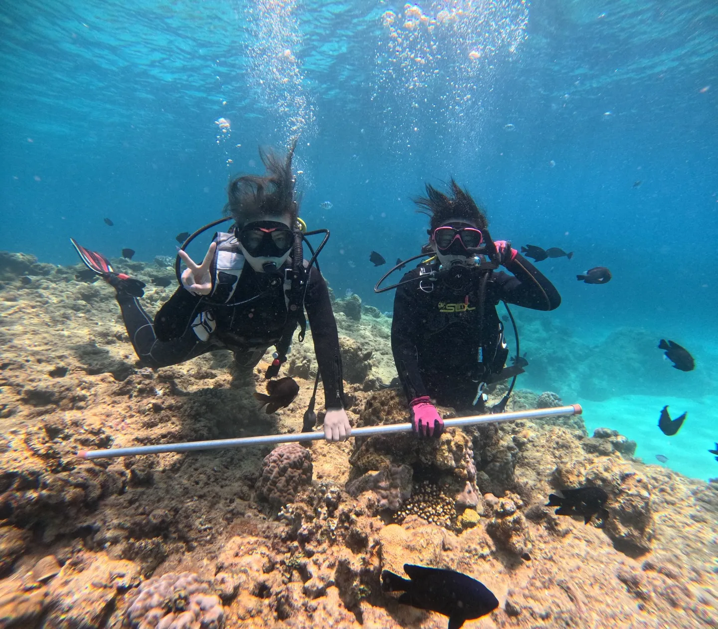 本部ダイビング