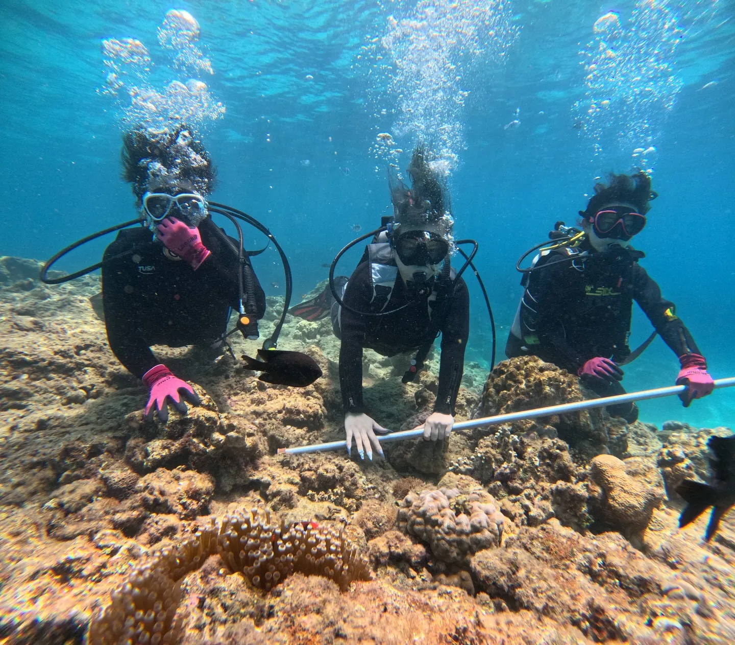 本部ダイビング