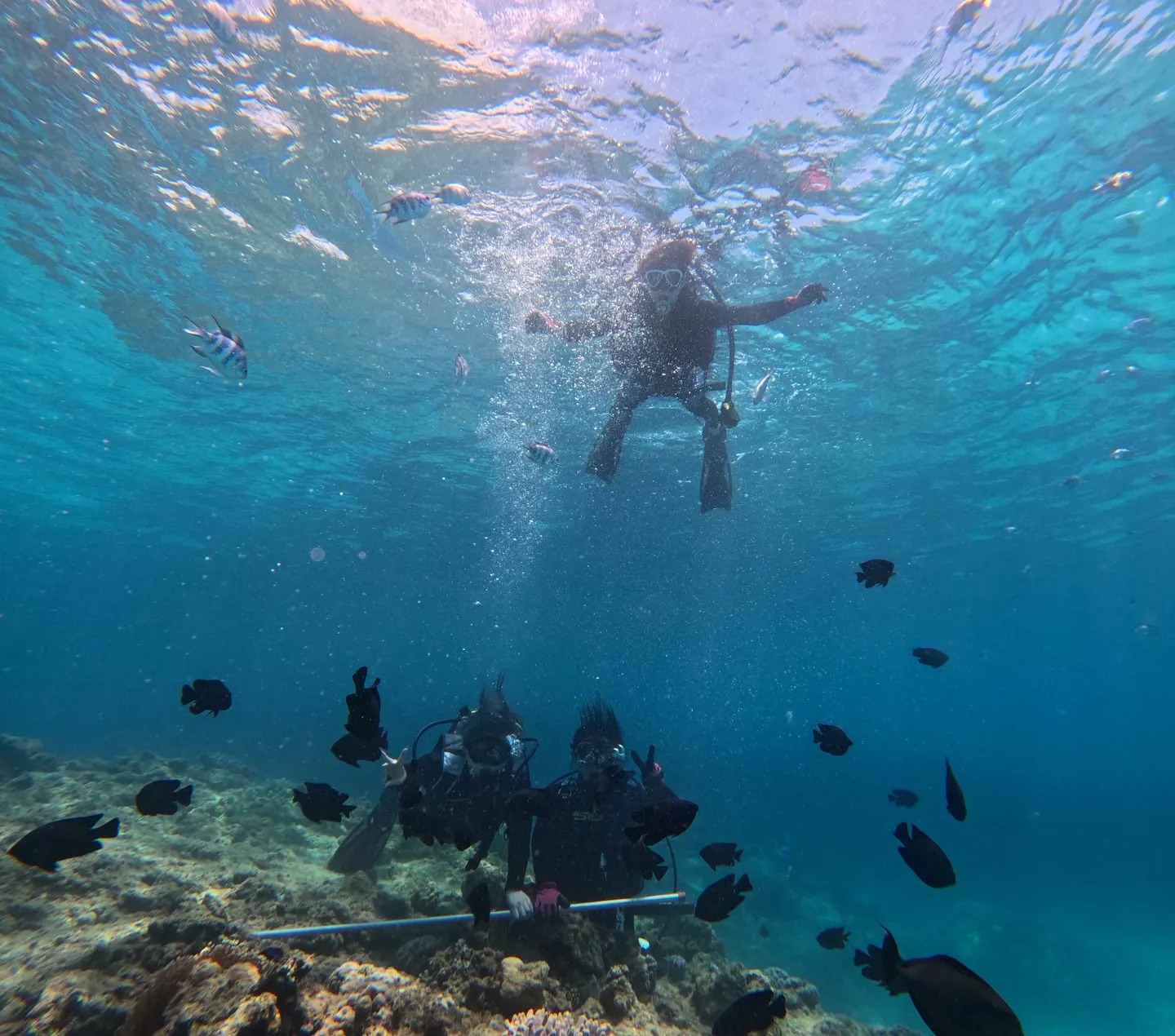 本部ダイビング