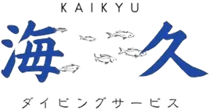 ダイビングで体験する海の神秘と初心者ガイド