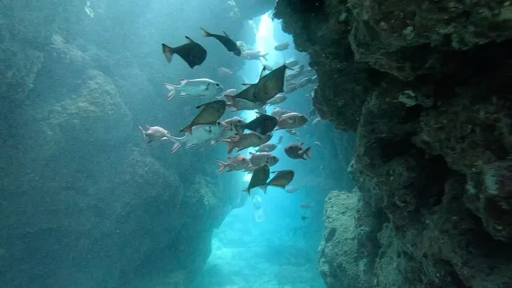 瀬底島ダイビング