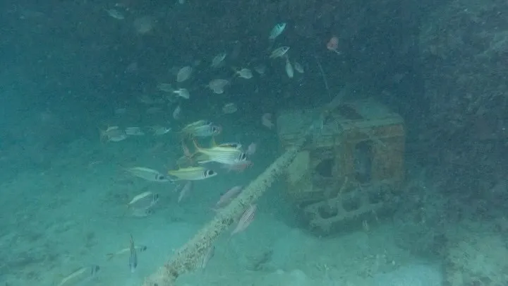 ライセンス講習