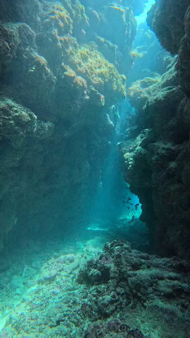 瀬底島ダイビング