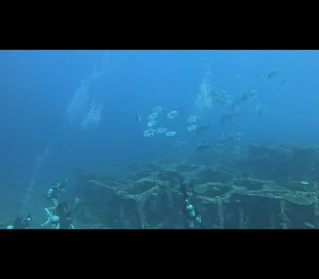 今帰仁ダイビング