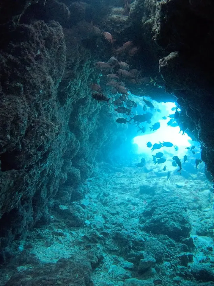 瀬底島ダイビング